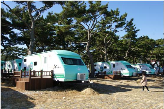 露營場周圍的松香給旅客提供了一種在城市很難體驗到的自然之香。