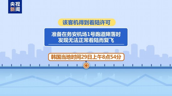 韓國客機悲?。鹤矇η傲昼娊峪B情預警 179人遇難
