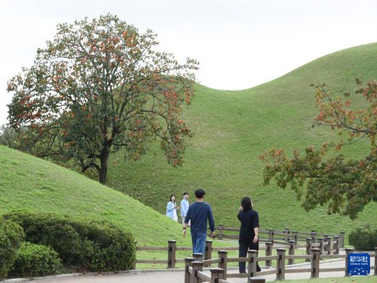 10月17日，游客在韓國慶州的大陵苑一帶參觀。新華社記者 姚琪琳 攝