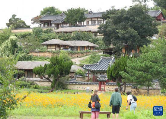 10月17日，游客在韓國慶州保留朝鮮時代原貌的古村良洞村參觀。新華社記者 姚琪琳 攝